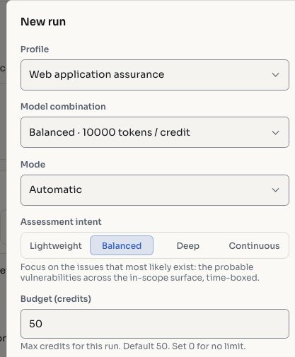 Profile, mode, assessment intent, and budget